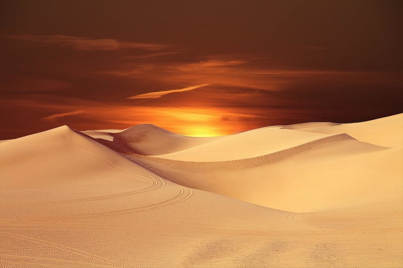 Desert Oasis