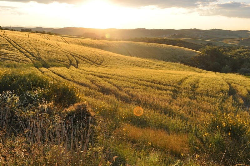 Tuscany